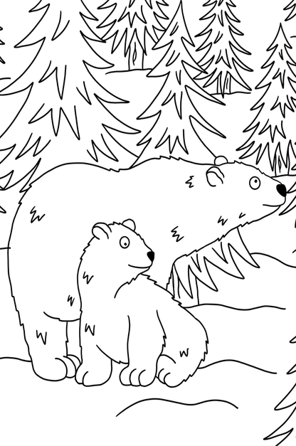 Animal Colouring In Postcard Set