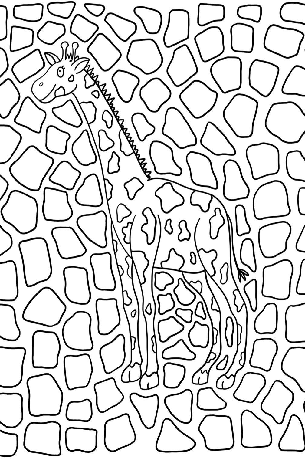 Animal Colouring In Postcard Set